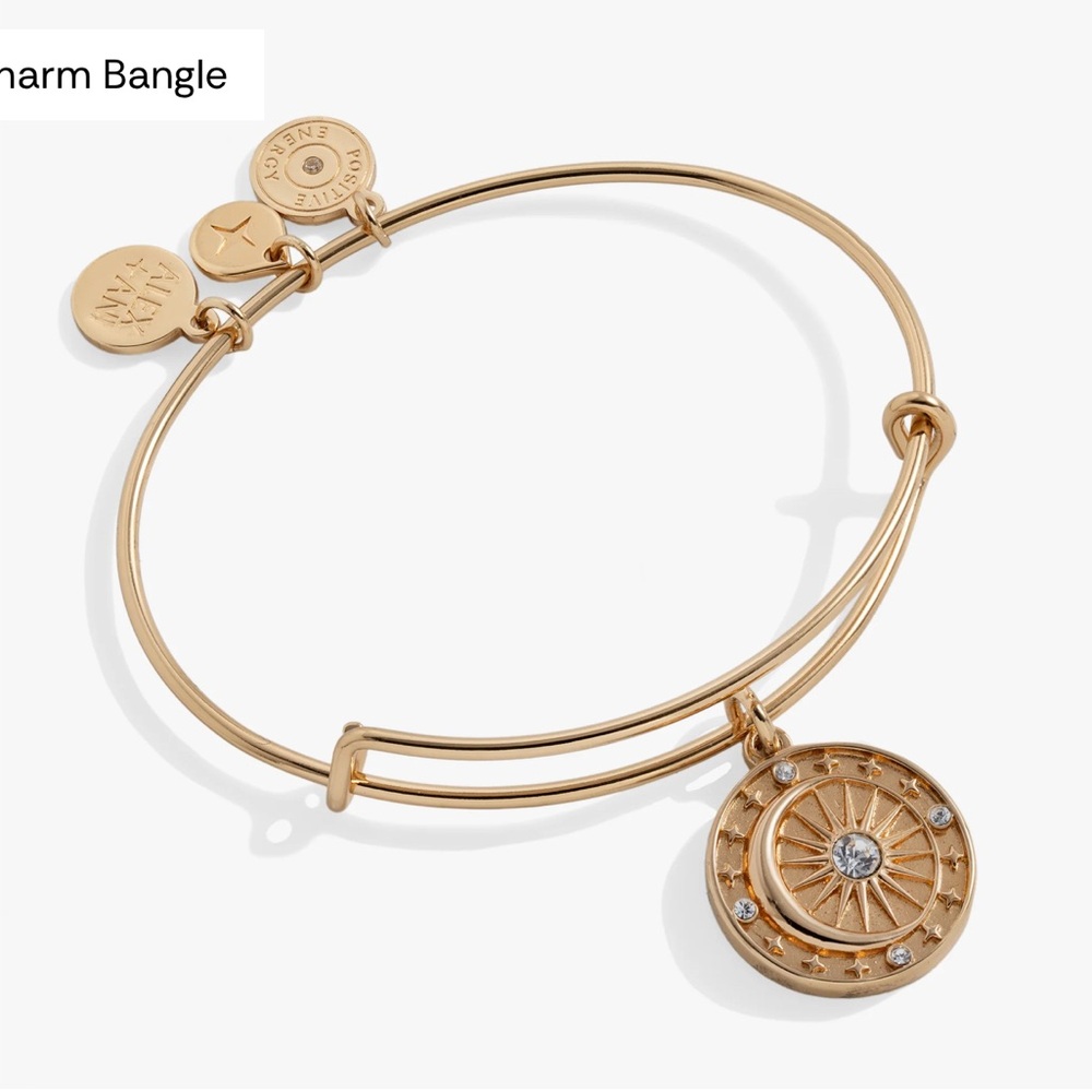 Alex and Ani Cosmic Balance Gold Charm Bangle Bracelet